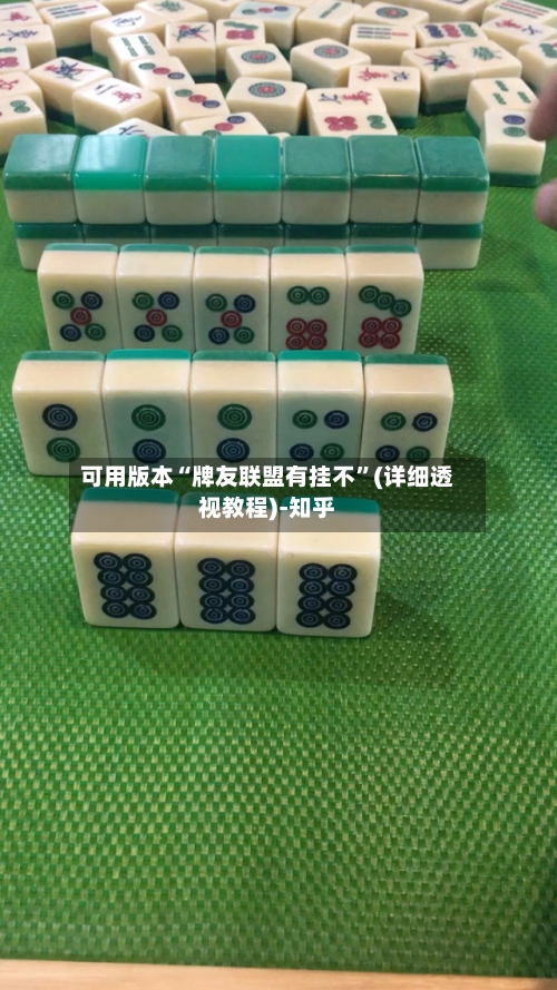 可用版本“牌友联盟有挂不”(详细透视教程)-知乎-第1张图片