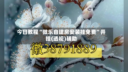 今日教程“微乐自建房安装挂免费	”开挂(透视)辅助-第1张图片