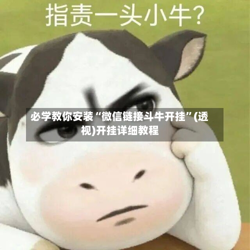 必学教你安装“微信链接斗牛开挂”(透视)开挂详细教程-第1张图片
