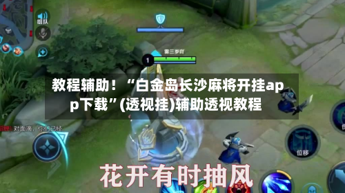 教程辅助！“白金岛长沙麻将开挂app下载”(透视挂)辅助透视教程-第1张图片
