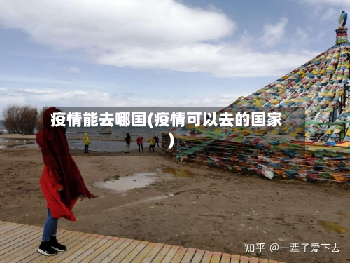 疫情能去哪国(疫情可以去的国家)-第1张图片
