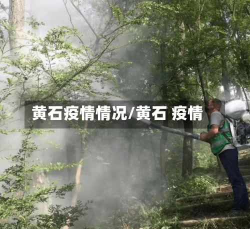 黄石疫情情况/黄石 疫情