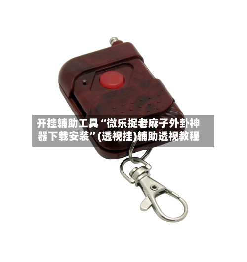 开挂辅助工具“微乐捉老麻子外卦神器下载安装”(透视挂)辅助透视教程