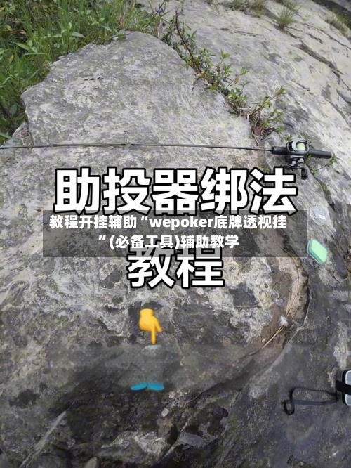 教程开挂辅助“wepoker底牌透视挂”(必备工具)辅助教学-第2张图片