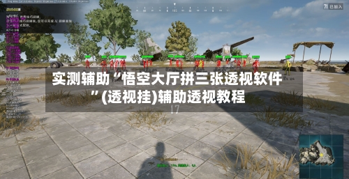 实测辅助“悟空大厅拼三张透视软件”(透视挂)辅助透视教程-第1张图片