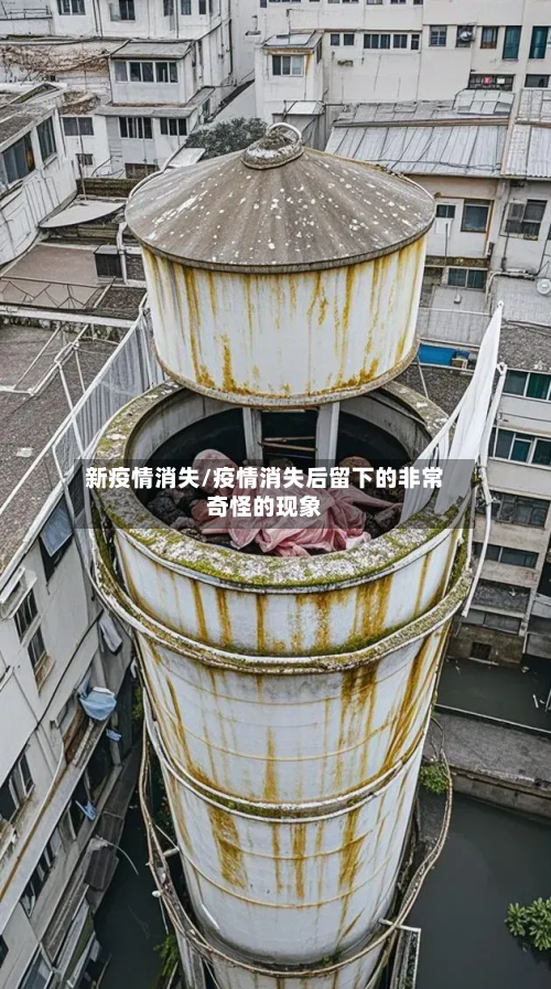 新疫情消失/疫情消失后留下的非常奇怪的现象-第1张图片