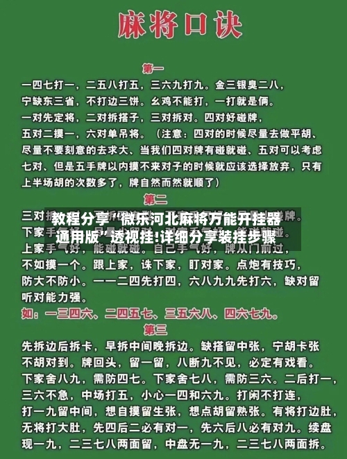 教程分享“微乐河北麻将万能开挂器通用版”透视挂!详细分享装挂步骤-第3张图片