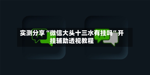 实测分享“微信大头十三水有挂吗”开挂辅助透视教程-第3张图片