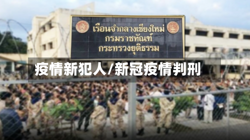 疫情新犯人/新冠疫情判刑