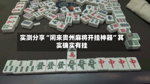 实测分享“闲来贵州麻将开挂神器”其实确实有挂-第1张图片