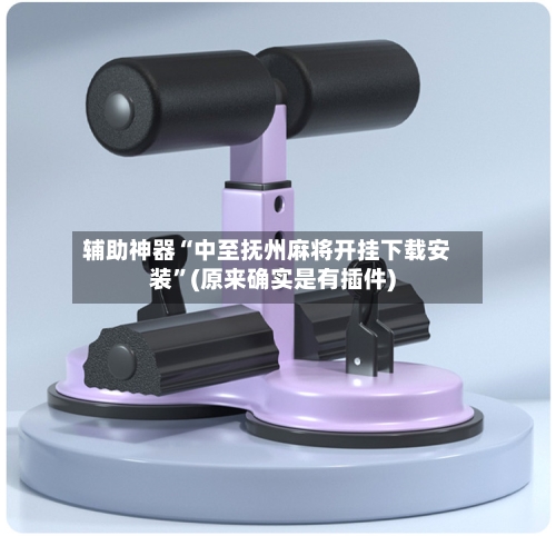 辅助神器“中至抚州麻将开挂下载安装	”(原来确实是有插件)-第2张图片