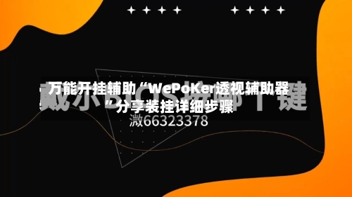 万能开挂辅助“WePoKer透视辅助器”分享装挂详细步骤-第3张图片