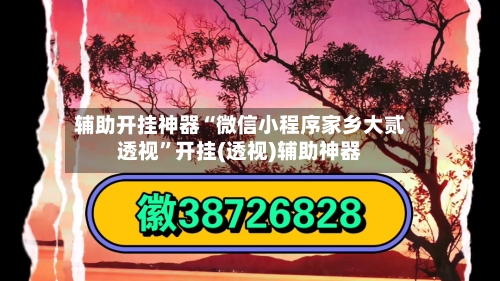 辅助开挂神器“微信小程序家乡大贰透视”开挂(透视)辅助神器-第1张图片