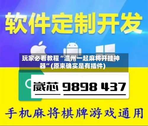 玩家必看教程“温州一起麻将开挂神器”(原来确实是有插件)