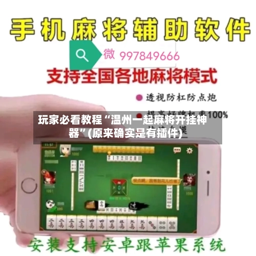 玩家必看教程“温州一起麻将开挂神器	”(原来确实是有插件)-第3张图片