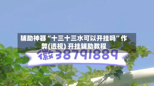 辅助神器“十三十三水可以开挂吗”作弊(透视) 开挂辅助教程-第1张图片