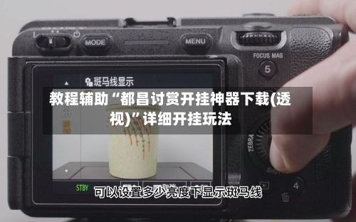 教程辅助“都昌讨赏开挂神器下载(透视)”详细开挂玩法