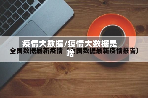 疫情大数握/疫情大数据是啥-第2张图片