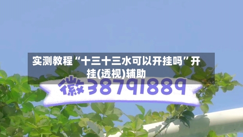 实测教程“十三十三水可以开挂吗”开挂(透视)辅助-第3张图片