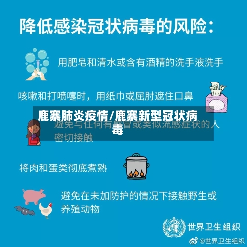 鹿寨肺炎疫情/鹿寨新型冠状病毒-第1张图片