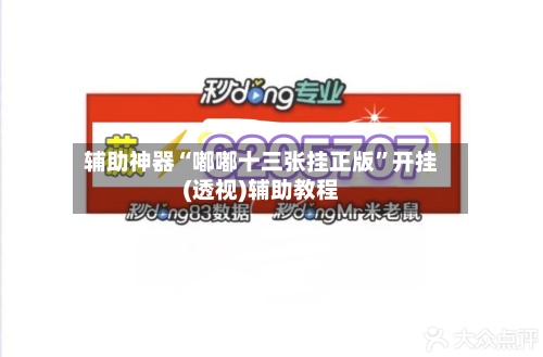 辅助神器“嘟嘟十三张挂正版”开挂(透视)辅助教程