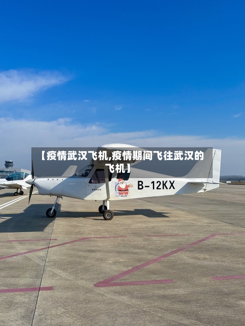 【疫情武汉飞机,疫情期间飞往武汉的飞机】-第1张图片