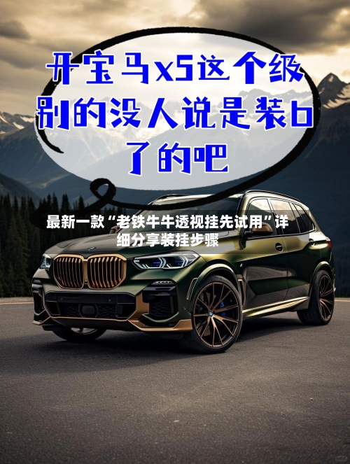 最新一款“老铁牛牛透视挂先试用”详细分享装挂步骤-第1张图片
