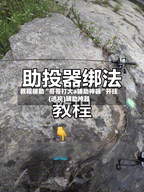 教程辅助“哥哥打大a辅助神器”开挂(透视)辅助神器-第1张图片