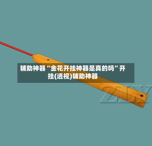 辅助神器“金花开挂神器是真的吗	”开挂(透视)辅助神器-第1张图片