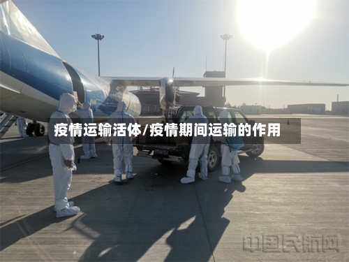 疫情运输活体/疫情期间运输的作用-第1张图片