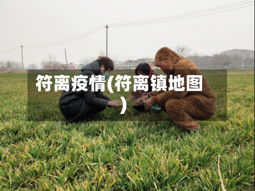 符离疫情(符离镇地图)-第1张图片