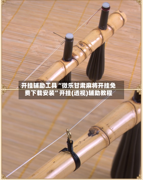 开挂辅助工具“微乐甘肃麻将开挂免费下载安装”开挂(透视)辅助教程-第1张图片