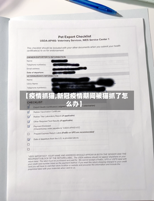 【疫情抓猫,新冠疫情期间被猫抓了怎么办】-第1张图片