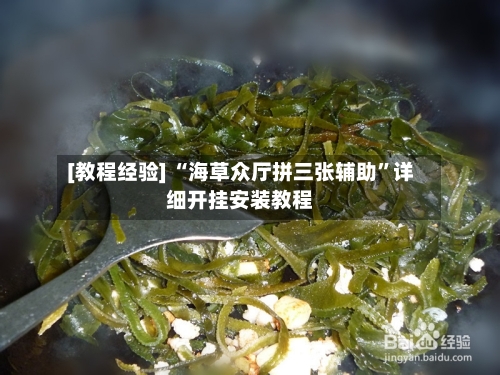 [教程经验] “海草众厅拼三张辅助”详细开挂安装教程