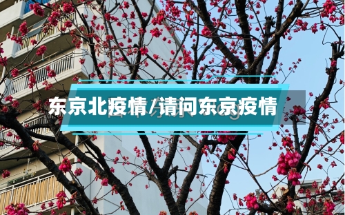 东京北疫情/请问东京疫情
