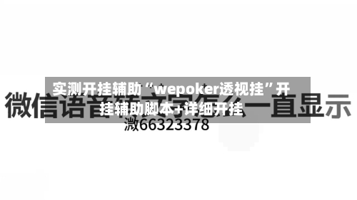 实测开挂辅助“wepoker透视挂	”开挂辅助脚本+详细开挂-第2张图片