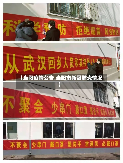 【当阳疫情公告,当阳市新冠肺炎情况】-第1张图片