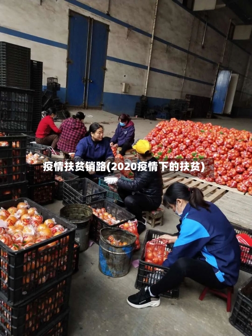 疫情扶贫销路(2020疫情下的扶贫)-第1张图片