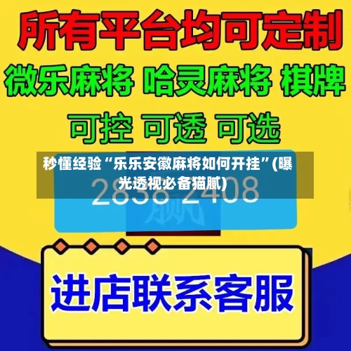 秒懂经验“乐乐安徽麻将如何开挂”(曝光透视必备猫腻)-第2张图片