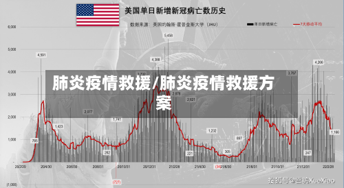 肺炎疫情救援/肺炎疫情救援方案-第1张图片