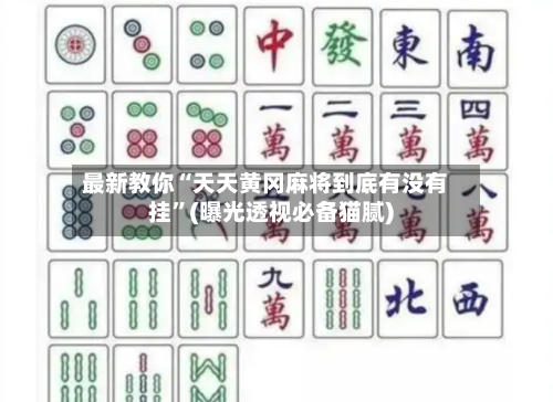 最新教你“天天黄冈麻将到底有没有挂”(曝光透视必备猫腻)-第1张图片