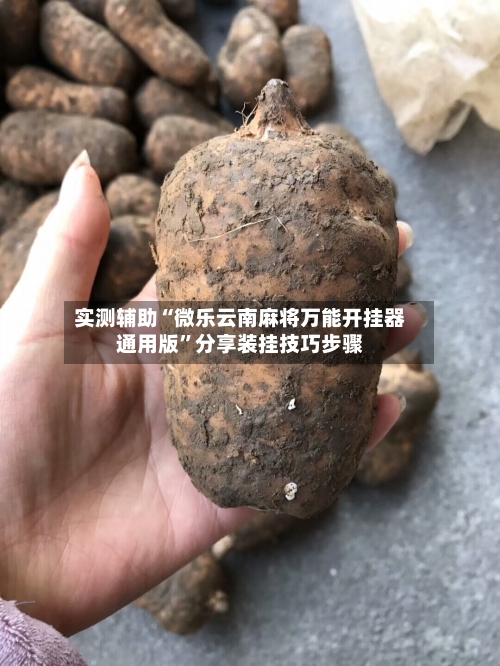 实测辅助“微乐云南麻将万能开挂器通用版”分享装挂技巧步骤