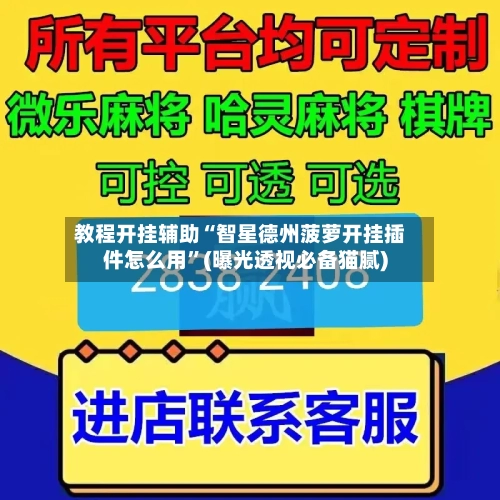 教程开挂辅助“智星德州菠萝开挂插件怎么用”(曝光透视必备猫腻)-第2张图片