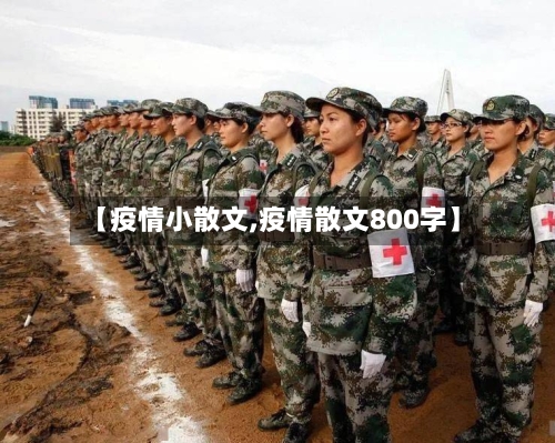 【疫情小散文,疫情散文800字】