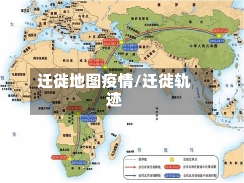 迁徙地图疫情/迁徙轨迹-第1张图片