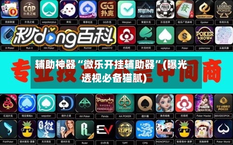 辅助神器“微乐开挂辅助器”(曝光透视必备猫腻)