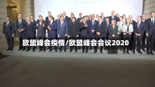 欧盟峰会疫情/欧盟峰会会议2020