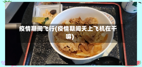 疫情期间飞行(疫情期间天上飞机在干嘛)-第1张图片