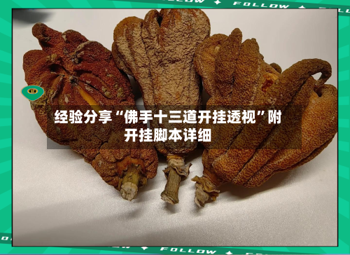经验分享“佛手十三道开挂透视”附开挂脚本详细