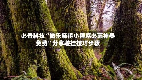必备科技“微乐麻将小程序必赢神器免费”分享装挂技巧步骤-第1张图片